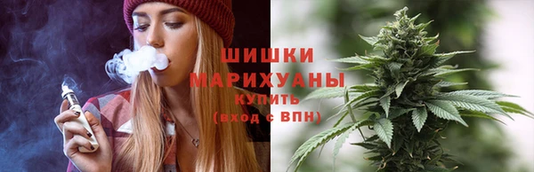 PSILOCYBIN Армянск