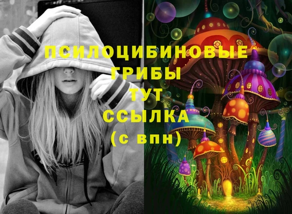 PSILOCYBIN Армянск