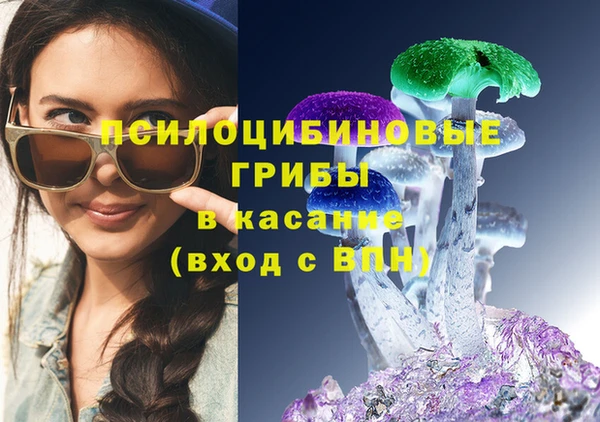 PSILOCYBIN Армянск