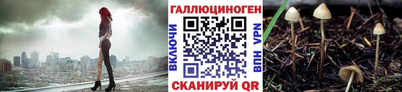 МЕГА сайт наркотики Солнечногорск Псилоцибиновые грибы Cubensis